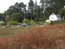 img-19-
