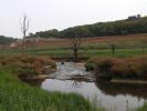 img-21-