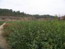 img-22-