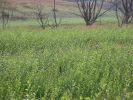 img-23-
