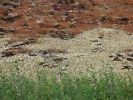 img-4-