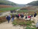 img-5-