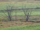 img-9-